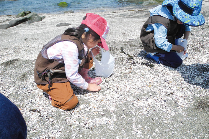 貝殻標本を作る