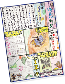 7月の「国蝶オオムラサキ」に参加してオオムラサキに興味を持ち、これをテーマにした「わたしのはっ見新聞」という作品を作りました。