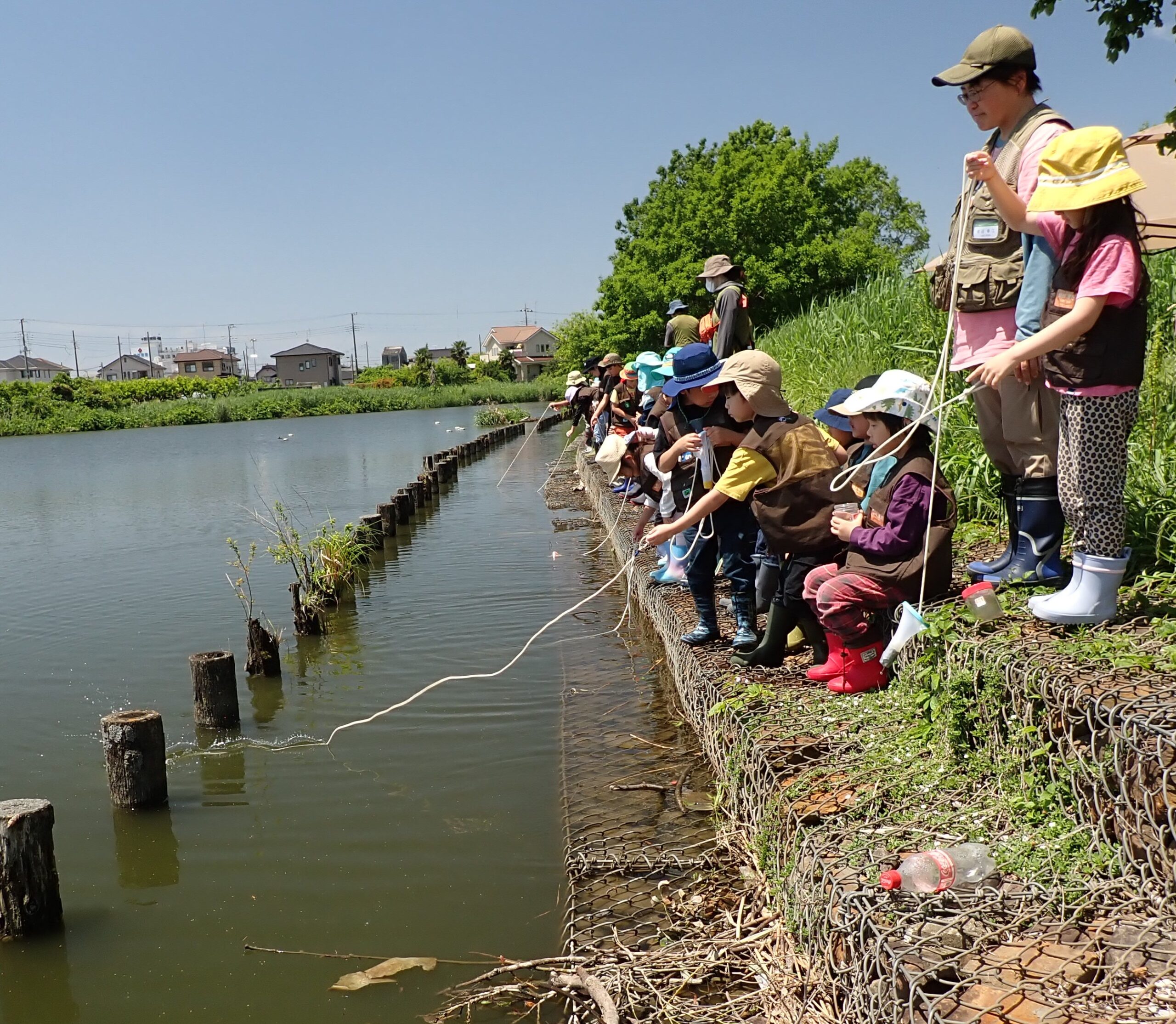 淡水プランクトンを捕る、観る