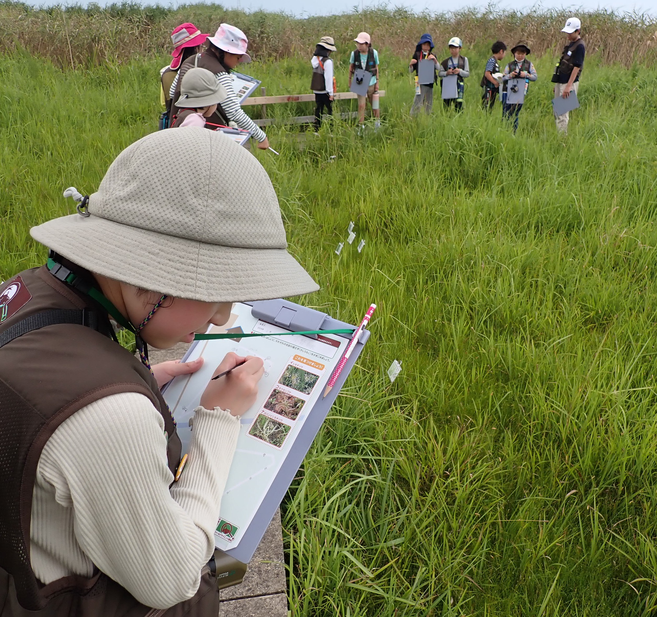 食虫植物をさがす