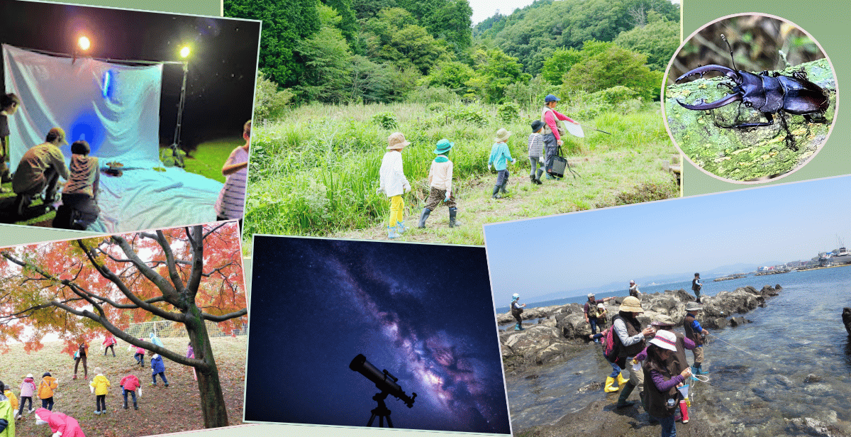 講師からのおすすめ本のイメージ